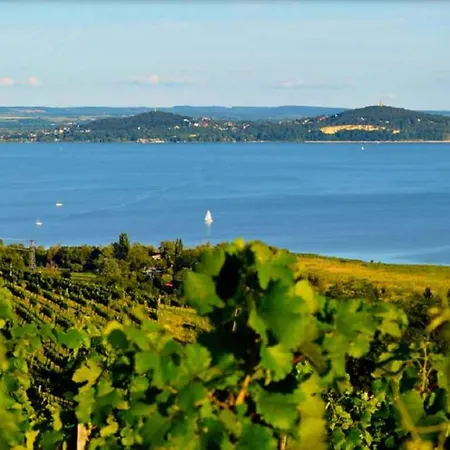 Appartamento In - Balaton 48108 *