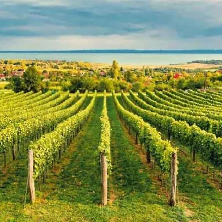 In - Balaton 48108