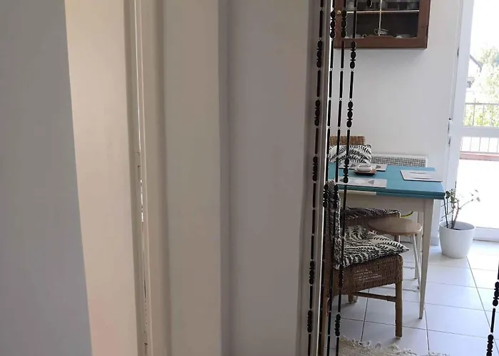 In - Balaton 48108 *