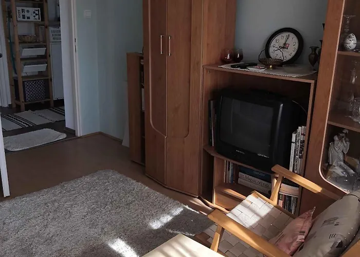 In - Balaton 48108 チョパク